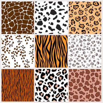A set of seamless wild animal coloring patterns. The skin of a tiger, giraffe, leopard, zebra, cheetah. Contemporary background for printing. Imitation of camouflage. Vector graphics.