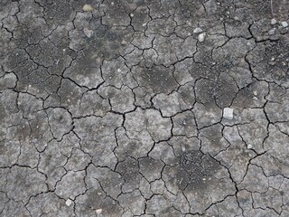 Ground Texture - Mud
