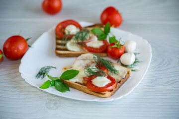 fried hot toast with mozzarella and tomatoes in a plate