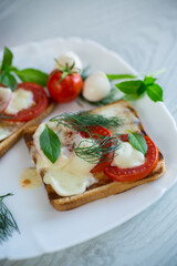 Fototapeta na wymiar fried hot toast with mozzarella and tomatoes in a plate