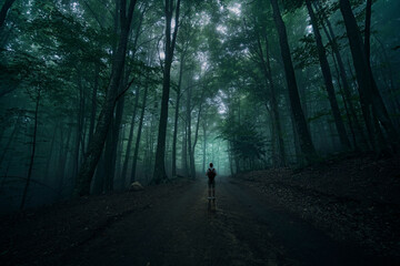 Traveler man in the dark forest
