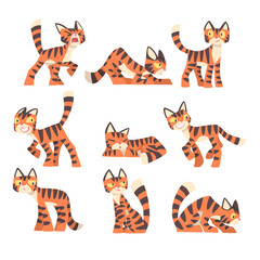 Fototapeta na wymiar Tiger Character with Orange Fur and Black Stripes Sleeping and Standing Vector Set