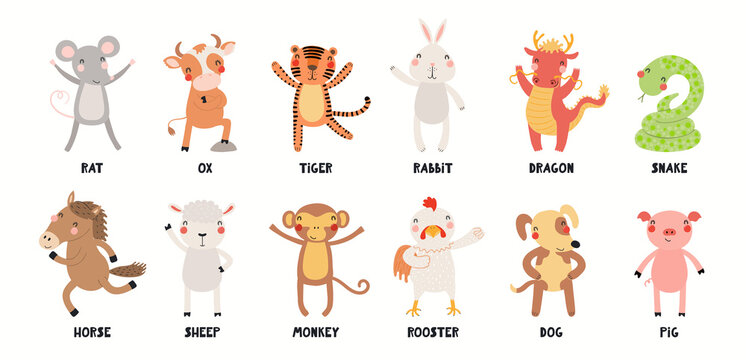 Twelve animals of Chinese zodiac, cute cartoon Asian astrological signs collection, isolated on white. Hand drawn vector illustration. Flat style design. New Year card, banner, horoscope element.