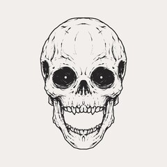 Vintage monochrome skull illustration