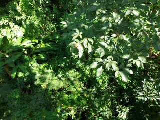 beach, view, landscape, mountains, nature, blue, sky, green, city, country, 