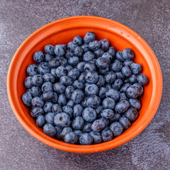 Fresh blueberry background. Blueberry Texture Close Blueberry Antioxidant Organic Superpeed Bowl Concept Healthy Nutrition