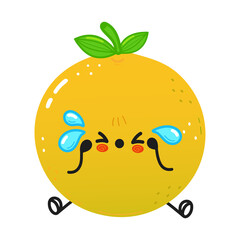 Cute sad and crying grapefruit character. Vector hand drawn cartoon kawaii character illustration icon. Isolated on white background. Grapefruit character concept