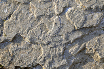  Abstract background. Grey sandstone texture. Natural stone background. Surface of a stone wall of an old house. Polished sandstone surface.  Solid construction material.