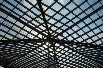 Snapshot from the The Aktiengesellschaft Cologne Zoological Garden in Cologne