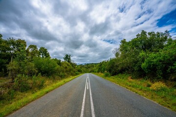 Fototapeta na wymiar Open and empty road in Knysna, Western Cape, South Africa