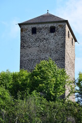 Fototapeta na wymiar Burg Treis