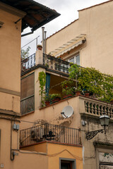 A street in Florence on a summer day