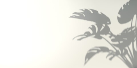 Fototapeta na wymiar Shadow background of monstera leaves - 3D render