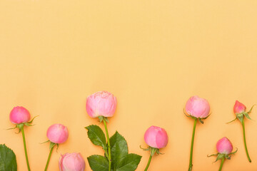 Fototapeta premium Pink rose buds and blooming flowers with green leaves arranged on a warm peach background, copy space for text, this floral composition provides ample copy space in the upper section