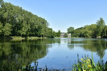 Fototapeta na wymiar L'étang du Moulin avec au fond ,l'abbaye du Rouge-Cloître en pleine forêt de Soignes à Auderghem 