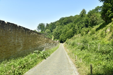 Fototapeta na wymiar Petite route à pavés longeant le mur d'enceinte de l'abbaye du Rouge Cloître en forêt de Soignes à Auderghem