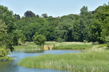 le petit étang de Lange Gracht et le mini-pont en pleine végétation sauvage de la forêt de...