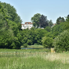 Façades arrières de maison dominant la végétation sauvage du domaine de l'abbaye du Rouge-Cloître en Forêt de Soigne à Auderghem 