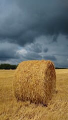 Field of Hay Bale, Dordogne region of France
