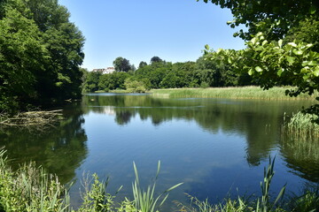 Le grand étang de Lange Gracht dans un cadre bucolique de la forêt de Soignes au domaine de l'abbaye du Rouge Cloître à Auderghem 