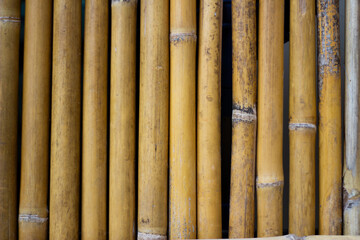 bamboo texture for background.