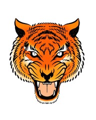 head tiger illustration in a roaring face. colored vector illustration represents the strength and power for logo, symbol, etc.