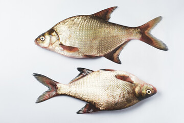 Freshwater silver bream fish.