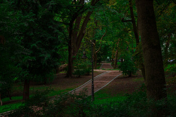 Fototapeta premium dusk park outdoor city place for walking there with decayed old curved trail and not working lantern grunge and dungerous place for people