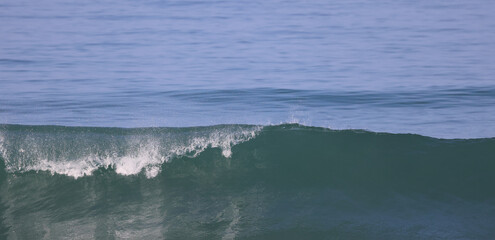 Fototapeta premium waves, calm ocean 