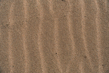 Fototapeta na wymiar sand close up. texture sand
