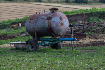 Obraz premium Fenced enclosure for animals in the countryside. There are cows, bulls and a horse in the paddock. There is a water container on the plot.