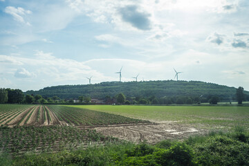 Fototapeta na wymiar Windmill on a hill on a summer day