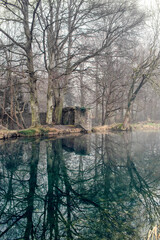 Obraz premium Foggy Sunrise at Canal in Ireland