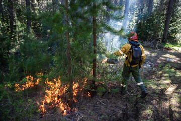 Forest brigade members fight a fire in Argentine Patagonia.