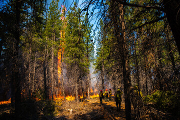 Forest brigade members fight a fire in Argentine Patagonia.