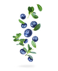 Ripe blueberries with green leaves in the air isolated on white background