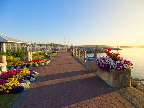Spectacular view of Sidney BC shore at the sunrise