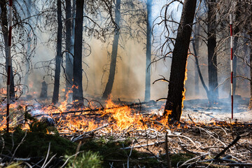 Forest brigade members fight a fire in Argentine Patagonia.