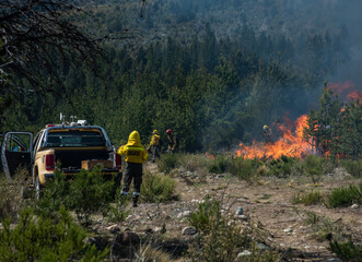 Fototapeta na wymiar Forest brigade members fight a fire in Argentine Patagonia.