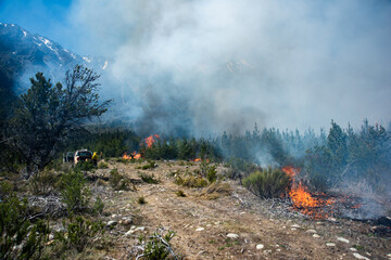 Fototapeta premium Forest brigade members fight a fire in Argentine Patagonia.