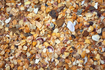 Background. Beautiful beach and sand.