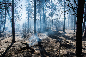 Forest brigade members fight a fire in Argentine Patagonia.