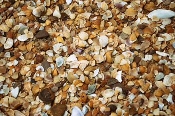 Background. Beautiful beach and sand.