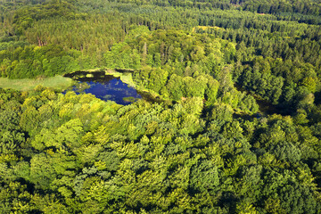 Gribskov Forest is one of Denmark’s largest and most beautiful natural areas. Gribskov Forest is UNESCO World Heritage Site