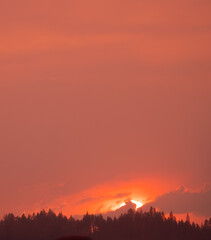 sunset through a smoky sky with a forest of pin trees near Black Butte Ranch in the cascade mountains, central Oregon