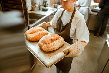 Skilled worker holds tray with tasty breads in craft bakery workshop