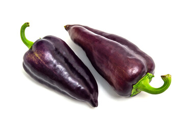 Two purple peppers on a white background. Vegetables after harvest.