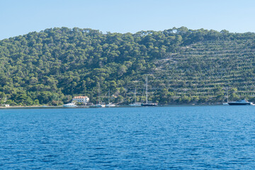 Kroatische Landschaft im Sommer