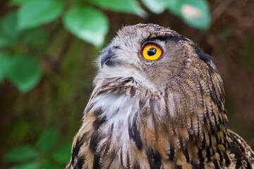 Parc des oiseaux