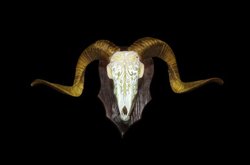 Ram skull with horns. A pattern carved into the skull of an animal. Isolate on a black back